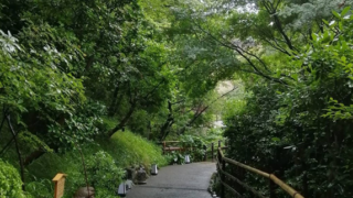 庭園づくりを通じた自然保護　老舗ホテルの試み ー早稲田とSDGsー